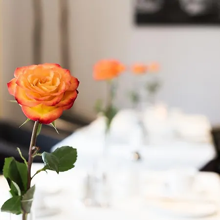 Hotel Sollner Hof 3*